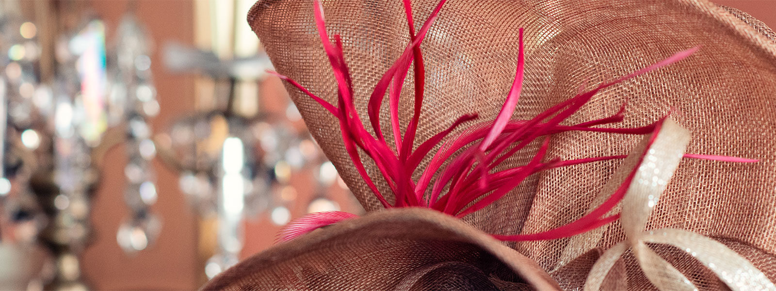 Close up of hat with feathers